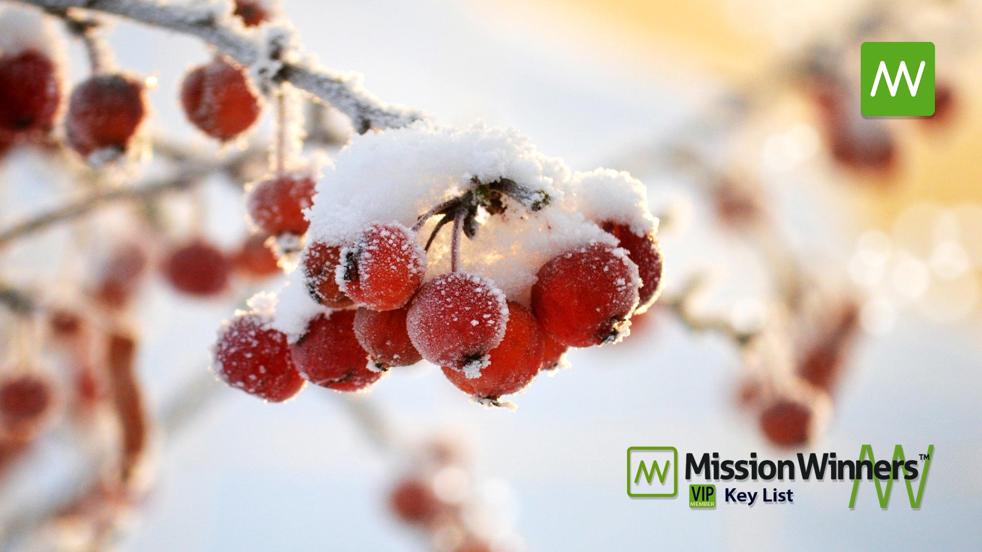 Key List™ Tuesday Dec 26 2023 - Mission Winners